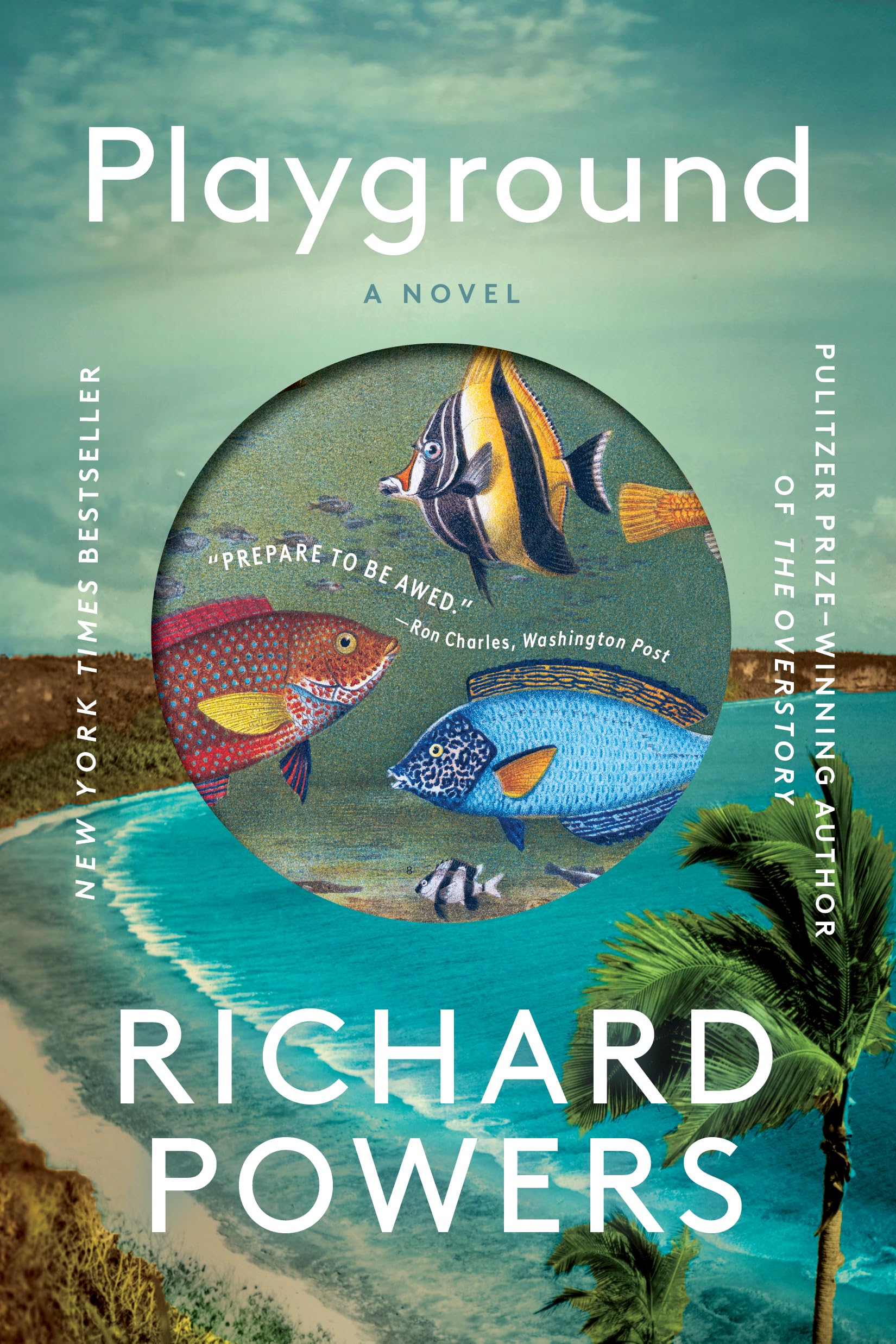 Playground: A Novel