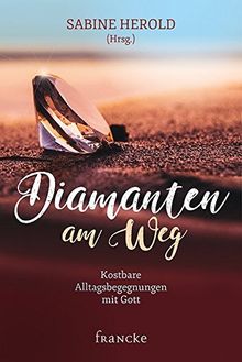 Diamanten am Weg: Kostbare Alltagsbegegnungen mit Gott