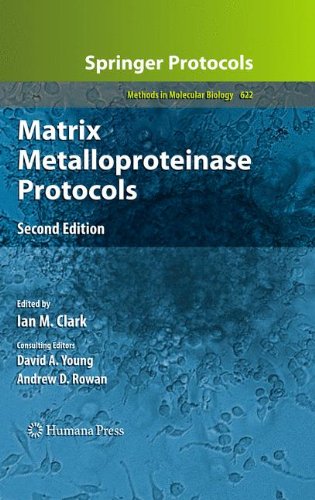 Matrix Metalloproteinase Protocols (Methods in Molecular Biology)