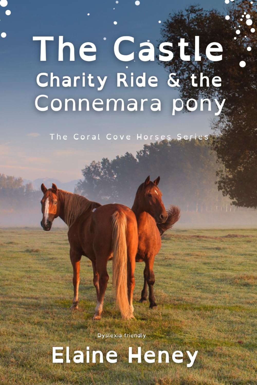 The Castle Charity Ride and the Connemara Pony - Dyslexia Friendly (Coral Cove Dyslexia Friendly Pony Adventures, Band 4)