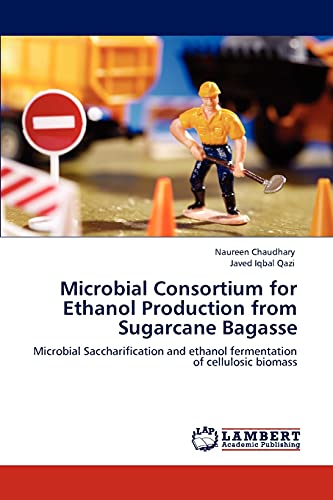 Microbial Consortium for Ethanol Production from Sugarcane Bagasse: Microbial Saccharification and ethanol fermentation of cellulosic biomass