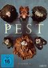 Die Pest - Staffel 2 [2 DVDs]