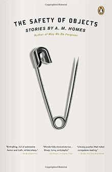 The Safety of Objects: Stories