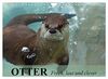 Otter. Frech, laut und clever (Wandkalender 2023 DIN A4 quer), Calvendo Monatskalender