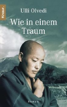 Wie in einem Traum: Roman