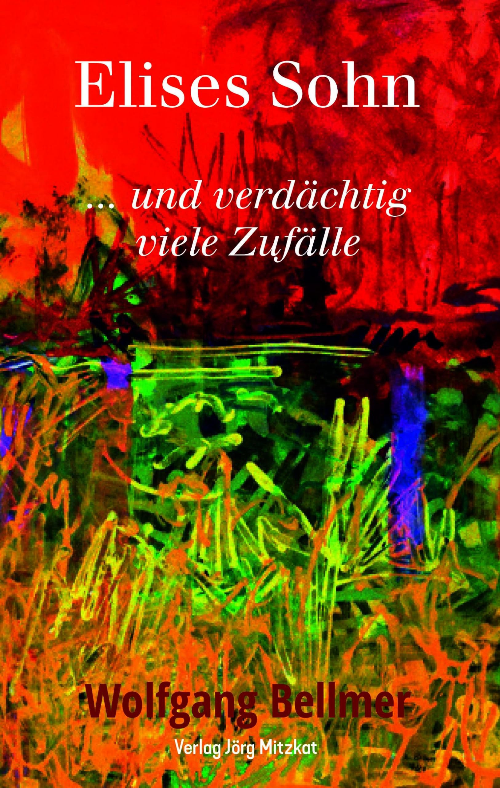 Elises Sohn: ...und verdächtig viele Zufälle