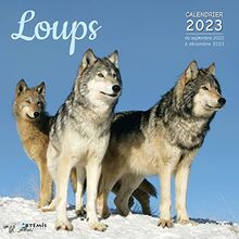 Loups : calendrier 2023 : de septembre 2022 à décembre 2023