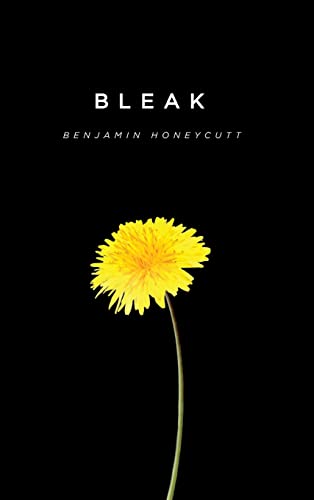 Bleak: A Story of Bullying, Rage and Survival