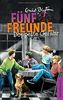 Fünf Freunde - Doppelte Gefahr - DB 06: Sammelband 06:Fünf Freunde als Retter in der Not/Fünf Freunde im alten Turm