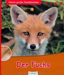 Der Fuchs