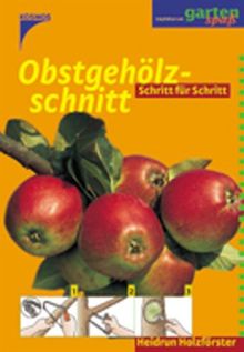 Obstgehölzschnitt