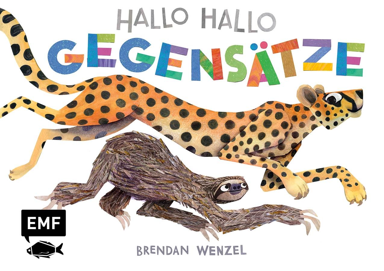 Hallo Hallo – Gegensätze: Pappbilderbuch für Kinder ab 2 Jahren zum spielerischen Entdecken und Lernen