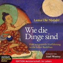 Wie die Dinge sind: Eine zeitgemäße Einführung in die Lehre Buddhas