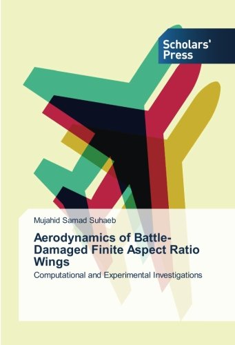 Aerodynamics of Battle-Damaged Finite Aspect Ratio Wings: Computational and Experimental Investigations
