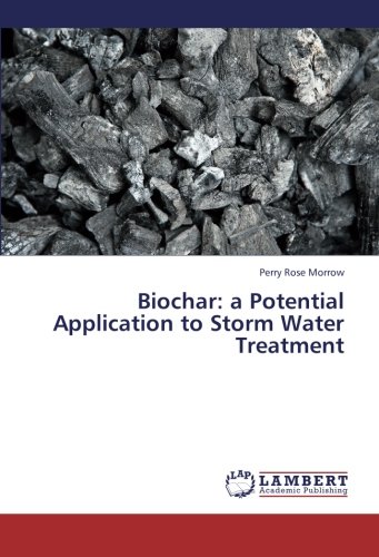 Biochar: a Potential Application to Storm Water Treatment