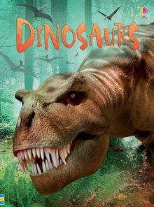 Dinosaurs (Usborne Beginners)