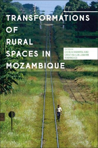 Transformations of Rural Spaces in Mozambique (Africa Now)