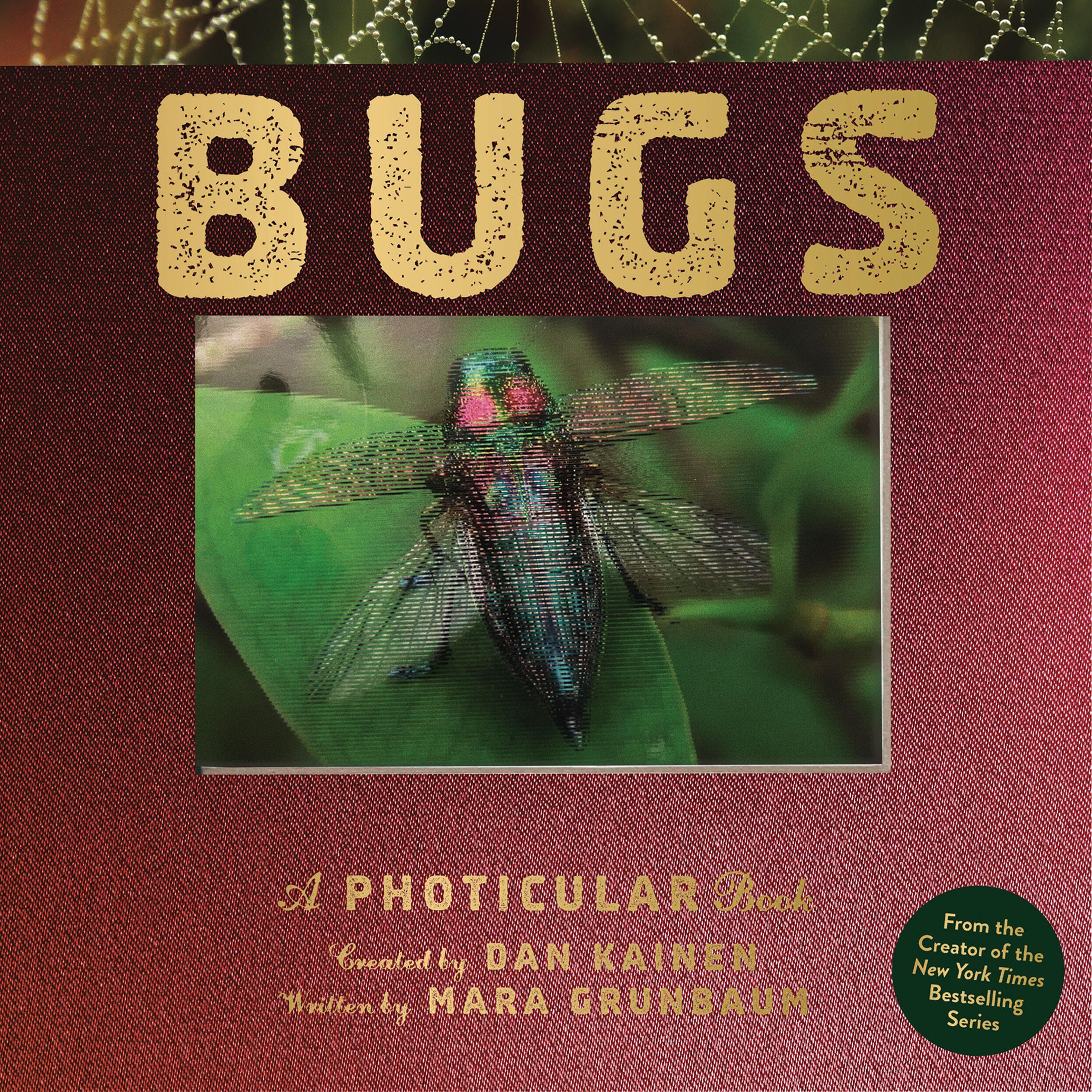 Dan Kainen Bugs, A Photicular Book