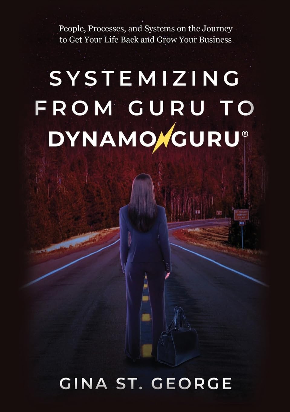 Systemizing from Guru to DynamoGuru: People, Processes, and Systems on the Journey to Get Your Life Back and Grow Your Business