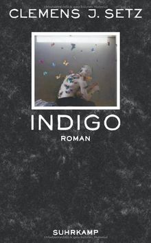 Indigo: Roman (suhrkamp taschenbuch)