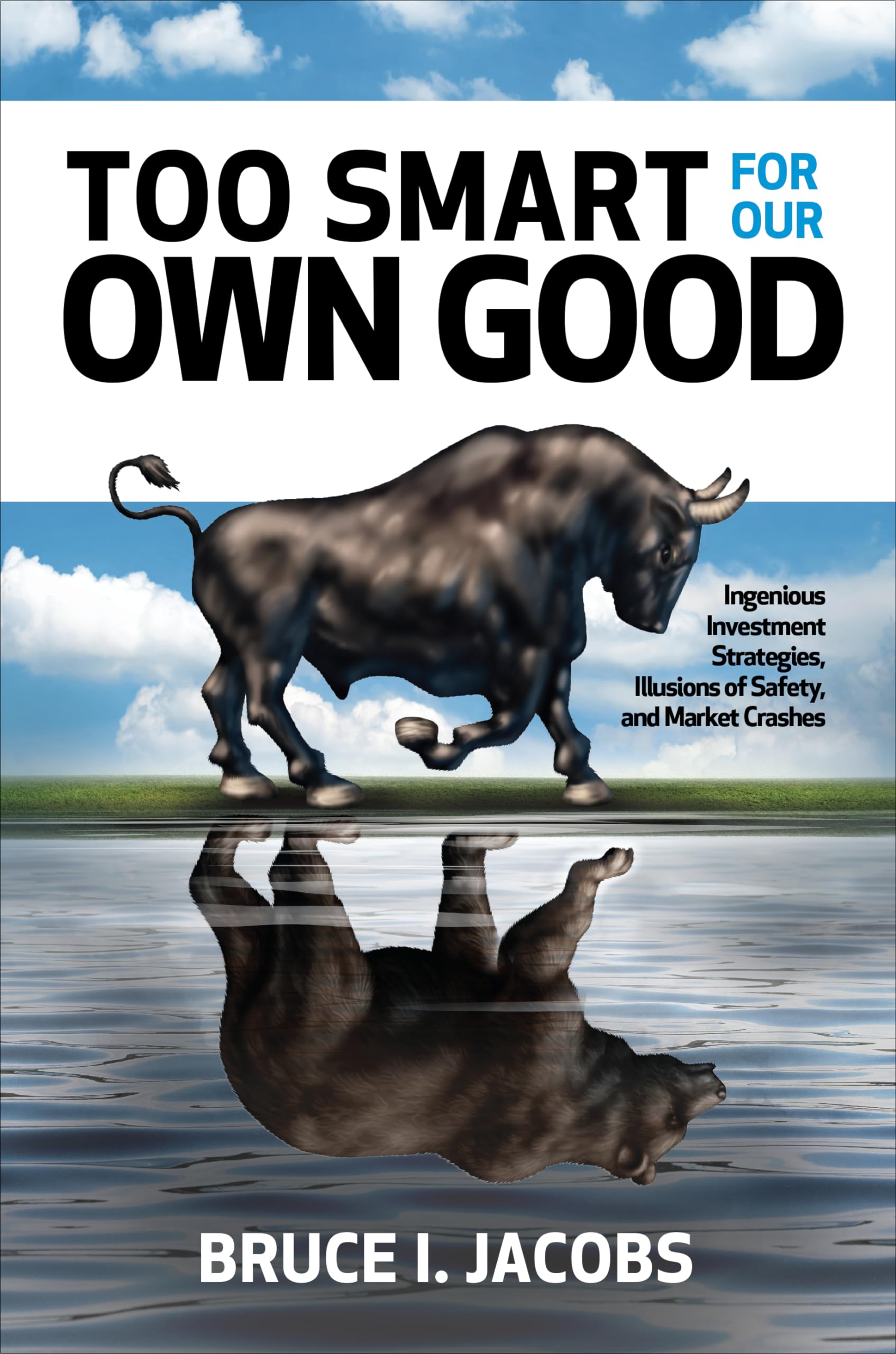 Too Smart for Our Own Good: Ingenious Investment Strategies, Illusions of Safety, and Market Crashes: Ingenious Investment Strategies, Illusions of ... Illusions of Safety, and Market Crashes