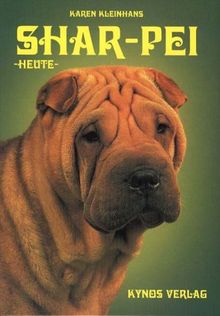 Shar-Pei heute