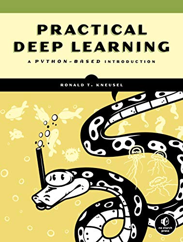 Practical Deep Learning - Ronald T Kneusel Kartoniert (TB)