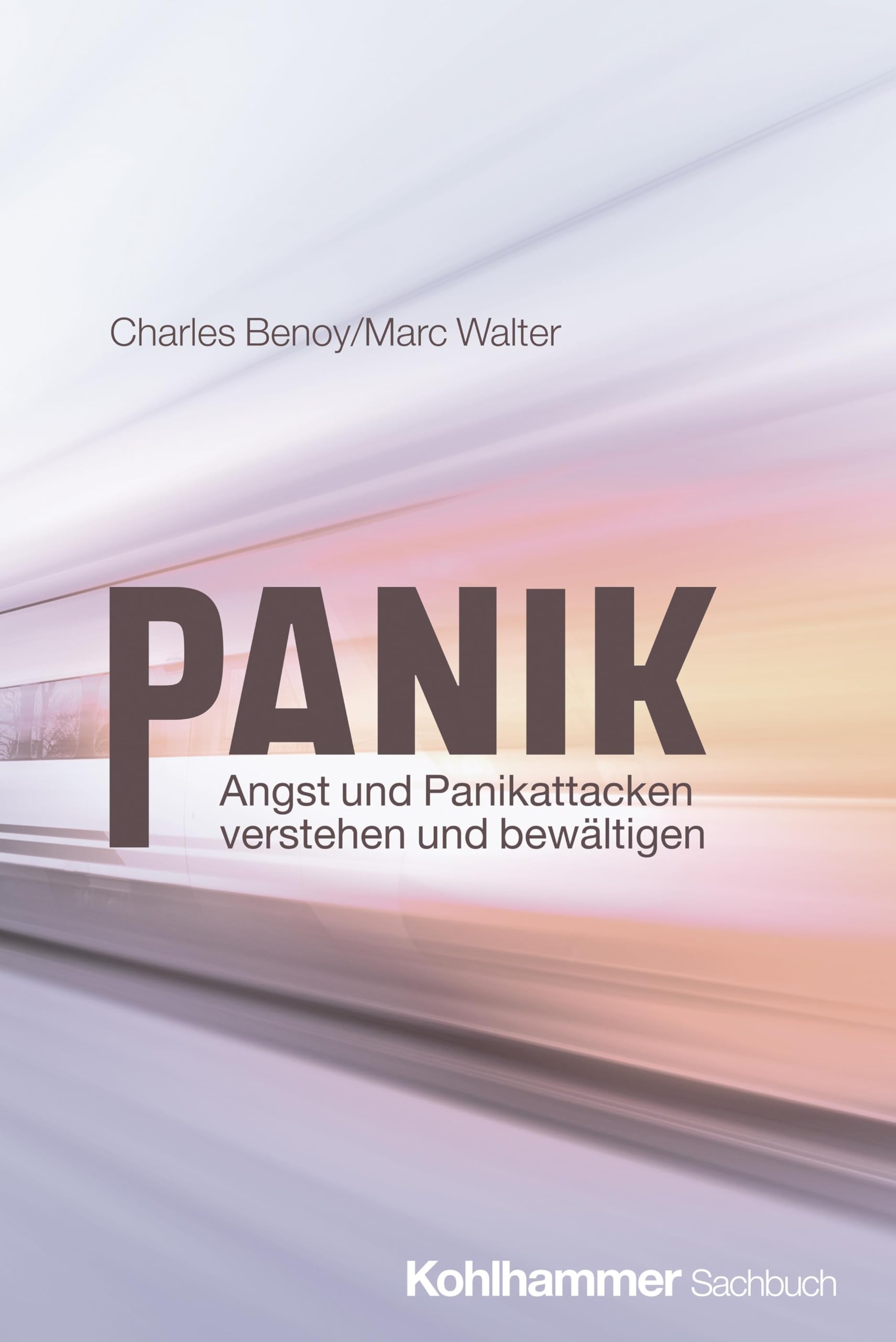 Panik: Angst und Panikattacken verstehen und bewältigen