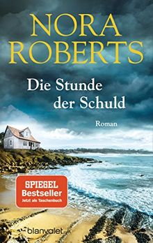 Die Stunde der Schuld: Roman