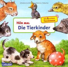 Hör mal: Die Tierkinder von Möller, Anne | Buch | Zustand gut