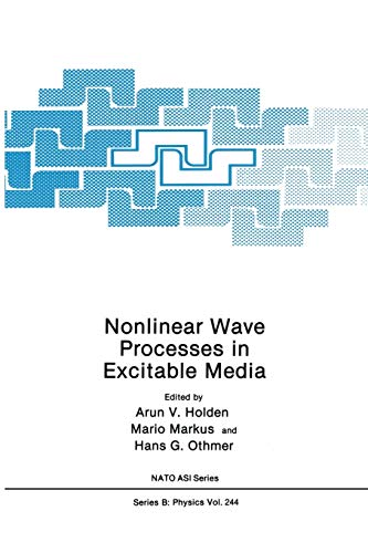 Nonlinear Wave Processes in Excitable Media (Nato Science Series B) (Nato Science Series B:, 244, Band 244)