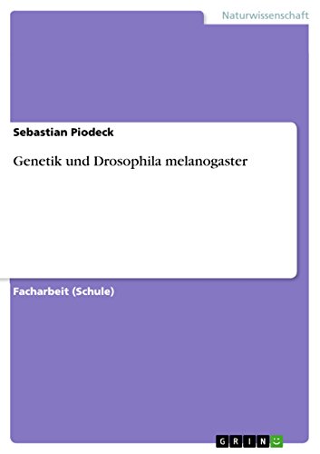 Sebastian Piodeck Genetik Und Drosophila Melanogaster