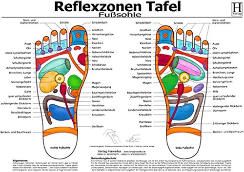 Fussreflexzonen Tafel - Fusssohle - A3 (laminiert) - Neuware