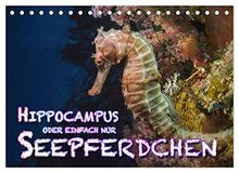Hippocampus oder einfach nur Seepferdchen (Tischkalender 2023 DIN A5 quer), Calvendo Monatskalender