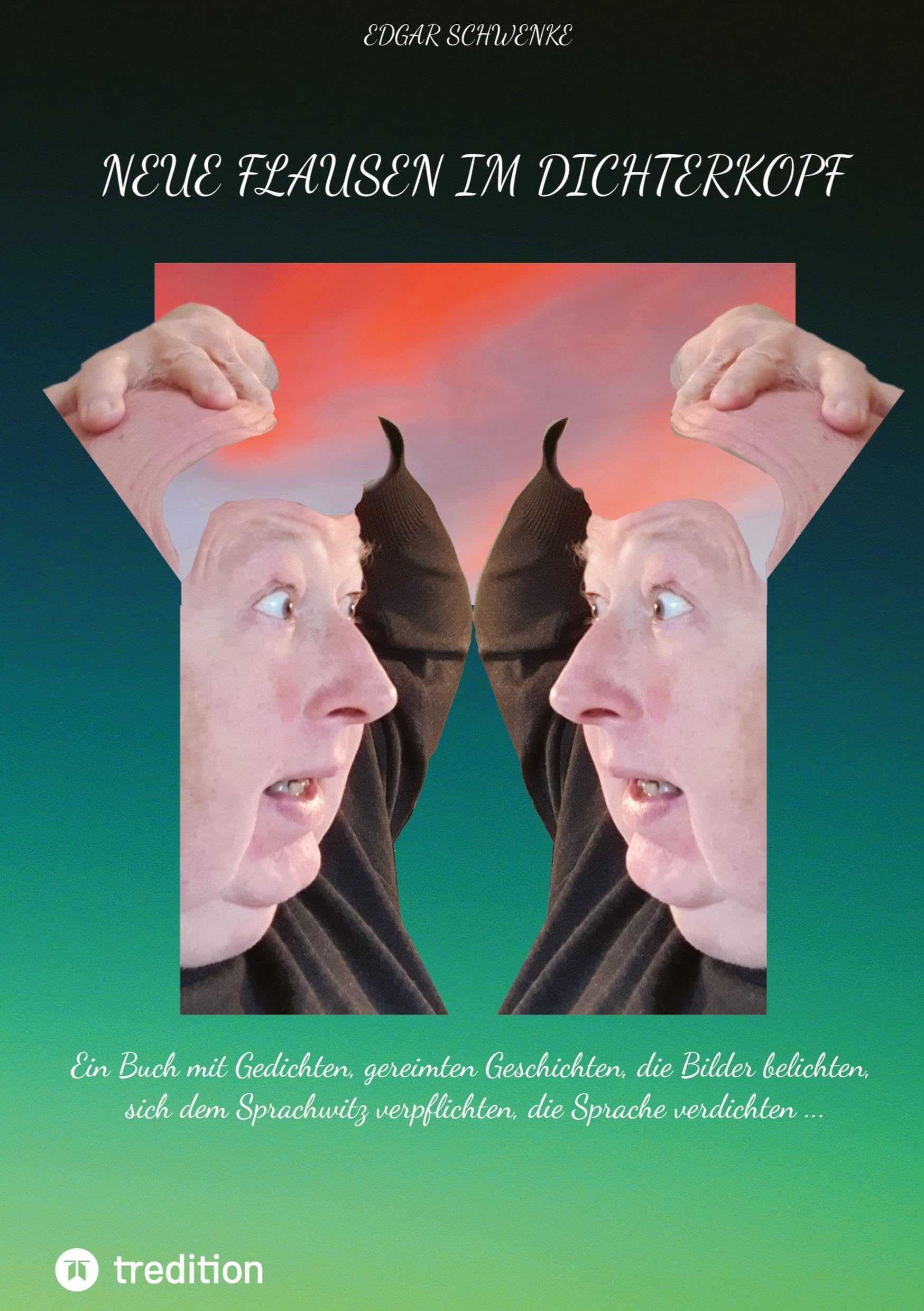 Neue Flausen im Dichterkopf: Ein Buch mit Gedichten, gereimten Geschichten, die Bilder belichten, sich dem Sprachwitz verpflichten, die Sprache verdichten