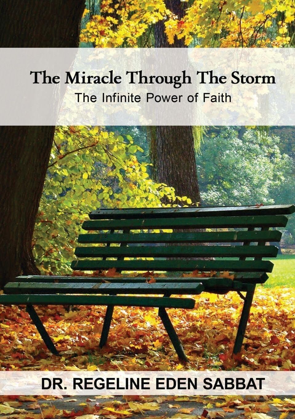 THE MIRACLE THROUGH THE STORM