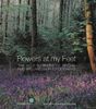 Flowers at My Feet: The Wild Flowers of Britain and Ireland in Photographs