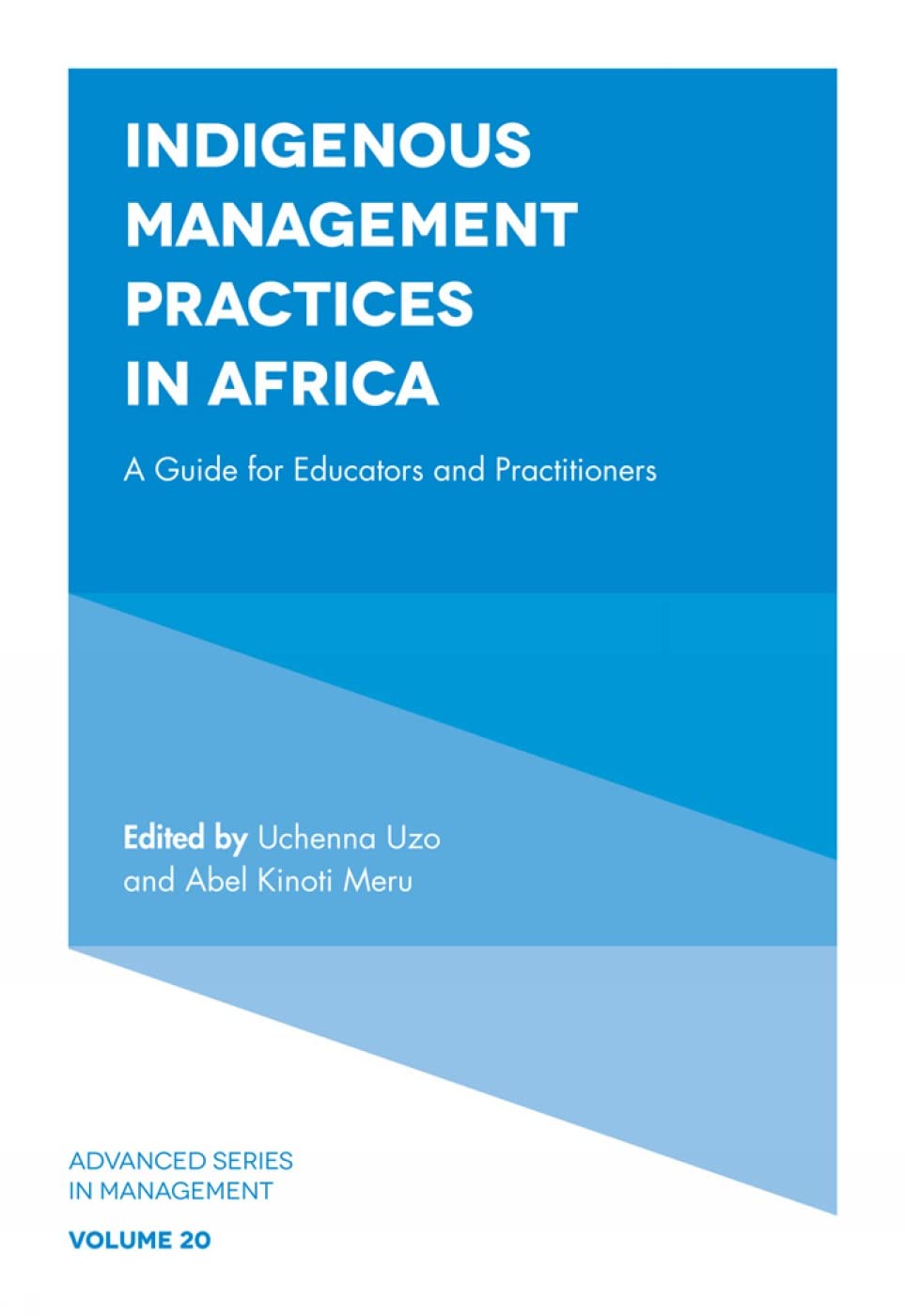 Indigenous Management Practices in Africa: A Guide for Educators and Practitioners (Advanced in Management, 20, Band 20)