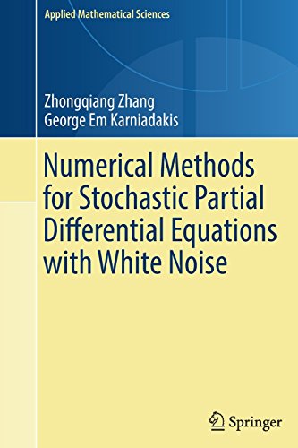Numerical Methods for Stochastic Partial Differential Equations with White Noise (Applied Mathematical Sciences)