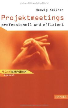 Projektmeetings - professionell und effizient