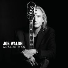 Analog Man (Limited Deluxe Edition) von Walsh,Joe | CD | Zustand gut
