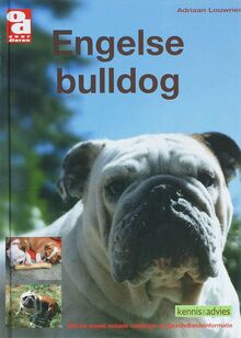 Engelse bulldog (Over Dieren)