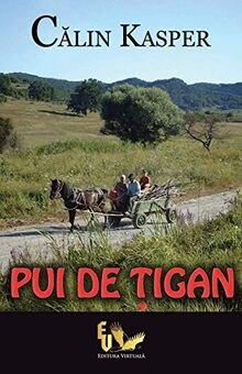 Pui de tigan