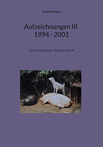 Aufzeichnungen III; 1994 - 2001: Zeit des Übergangs - Aufstieg und Fall