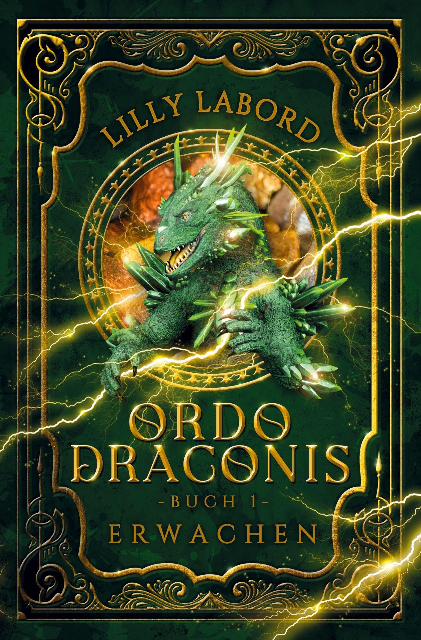 Ordo Draconis - Erwachen (Wenn die Drachen erwachen)