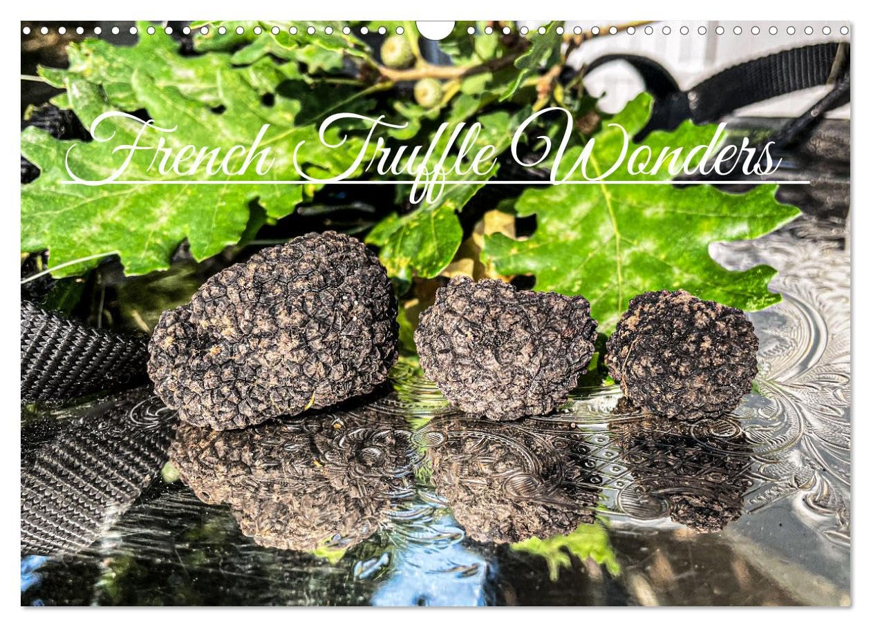 French Truffle Wonders (Wall Calendar 2026 DIN A3 landscape), CALVENDO 12 Month Wall Calendar: Precious French black gold
