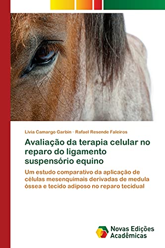 Avaliação da terapia celular no reparo do ligamento suspensório equino: Um estudo comparativo da aplicação de células mesenquimais derivadas de medula óssea e tecido adiposo no reparo tecidual