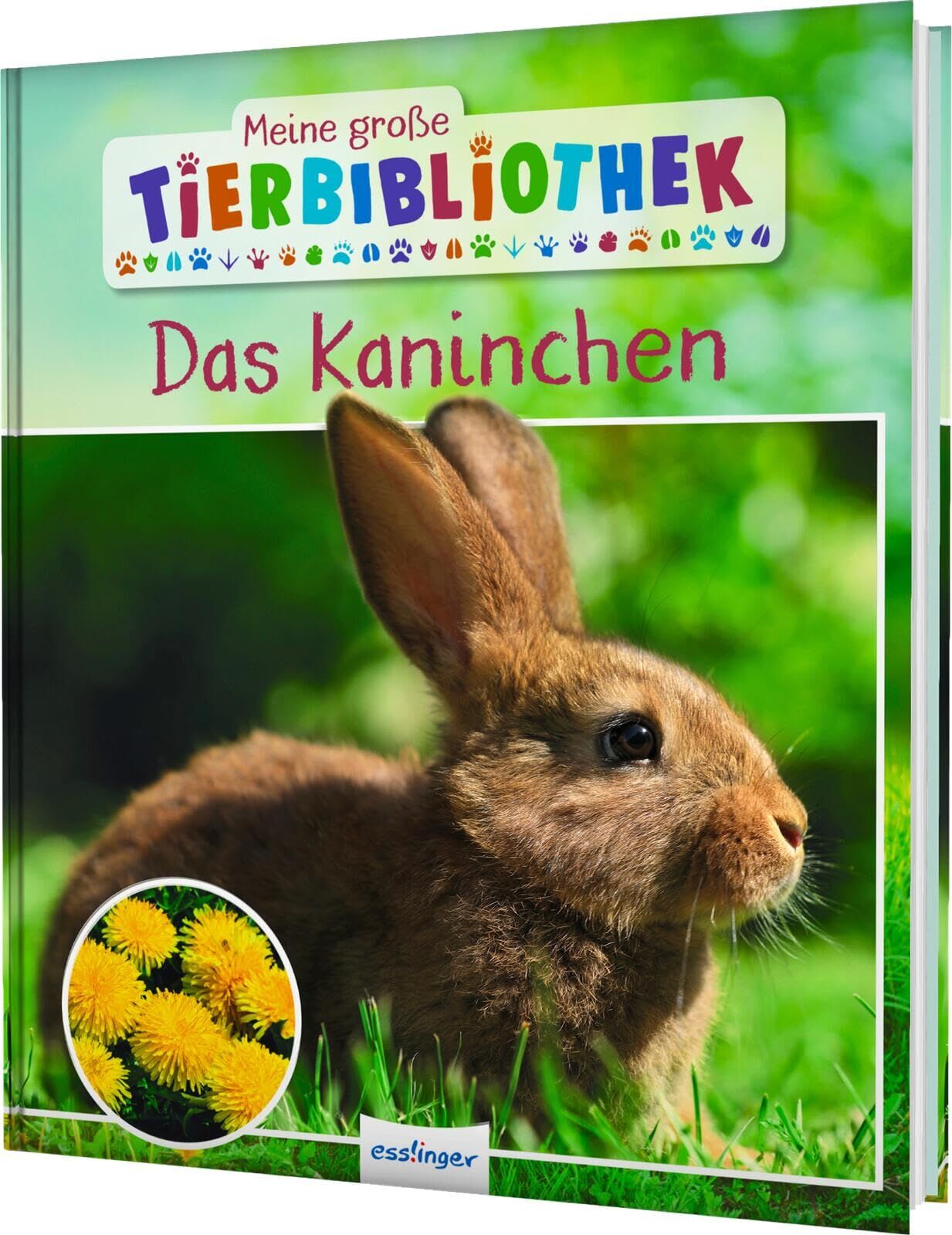 Gutjahr, Axel: Meine große Tierbibliothek: Das Kaninchen