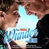 Wunder Von Bern-das Musical