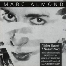 Violent Silence/a Woman'S Stor